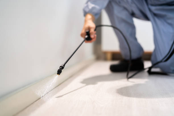 Licensed Rodent Control service in Fairlea, WV - Nex Pest Control