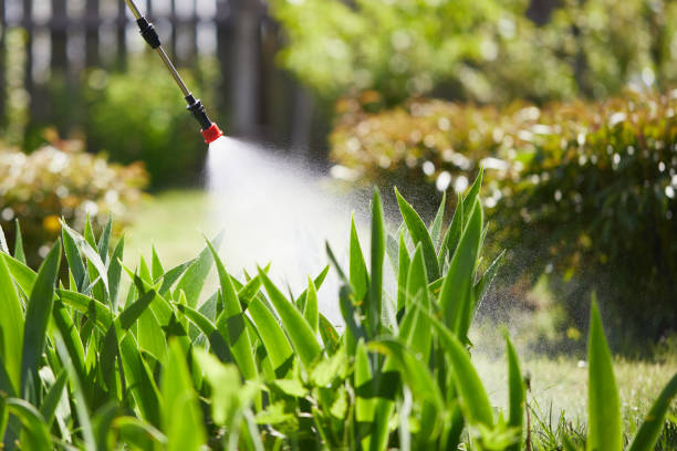 24/7 Emergency Rodent Control experts in Fairlea, WV