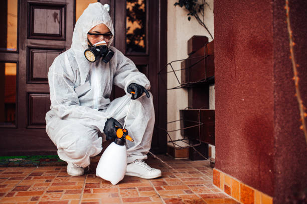 Reliable Rodent Control contractor in Fairlea, WV by Nex Pest Control