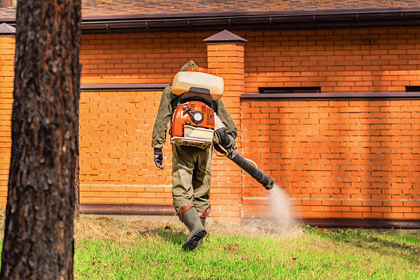 Trusted Rodent Control service in Fairlea, WV - Nex Pest Control